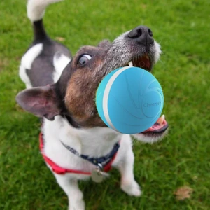 Dog holding Peppy Pet Ball with sharp teeth