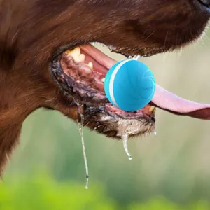 dog salivating with Peppy Pet Ball in mouth