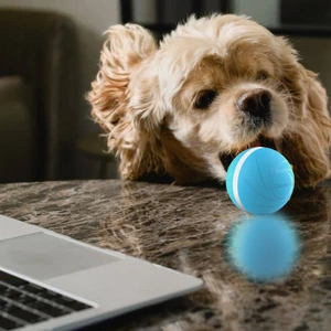 dog holding Peppy Pet Ball in mouth on desk