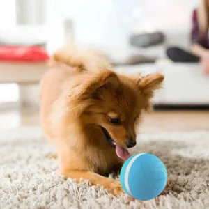 dog playing with Peppy Pet Ball on carpet